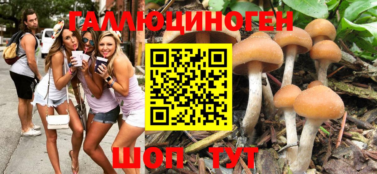 Галлюциногенные грибы мухоморы Мурино